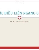 Bài giảng Tài chính quốc tế: Điều kiện ngang giá - Nguyễn Diệp Hà