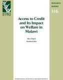 Access to Credit and Its Impact on Welfare in Malawi