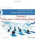 Bài giảng Thị trường chứng khoán: Chương 1 - ThS. Lê Trung Hiếu