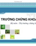 Bài giảng Thị trường chứng khoán: Chương 1 - Tổng quan thị trường chứng khoán