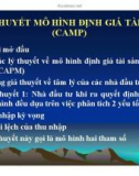 Bài giảng Lý thuyết mô hình định giá tài sản (CAMP)