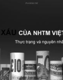 Nợ xấu ngân hàng thương mại Việt Nam