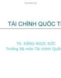 Bài giảng Tài chính quốc tế: Chương 1 - TS. Đặng Ngọc Đức