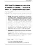 DEA model for measuring operational efficiency of Vietnam's commercial banks by using genetic algorithms