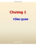 Bài giảng Tổng quan đầu tư - ThS. Nguyễn Kim Nam