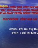 Đánh giá hiệu quả cho vay hộ sản xuất tại chi nhánh ngân hàng nông nghiệp và phát triển nông thôn huyện chư prông tỉnh Gia Lai