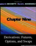 Lecture Money, banking, and financial markets (3/e): Chapter 9 - Stephen G. Cecchetti, Kermit L. Schoenholtz