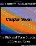 Lecture Money, banking, and financial markets (3/e): Chapter 7 - Stephen G. Cecchetti, Kermit L. Schoenholtz