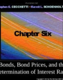 Lecture Money, banking, and financial markets (3/e): Chapter 6 - Stephen G. Cecchetti, Kermit L. Schoenholtz