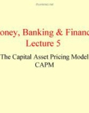 Lecture Money, Banking & Finance (2) - Lecture 5: The Capital Asset Pricing Model (CAPM)