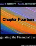 Lecture Money, banking, and financial markets (3/e): Chapter 14 - Stephen G. Cecchetti, Kermit L. Schoenholtz