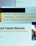 Lecture Money and capital markets: Financial institutions and instruments in a global marketplace (8th edition): Chapter 17 - Peter S. Rose