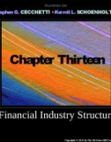 Lecture Money, banking, and financial markets (3/e): Chapter 13 - Stephen G. Cecchetti, Kermit L. Schoenholtz