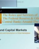 Lecture Money and capital markets: Financial institutions and instruments in a global marketplace (8th edition): Chapter 13 - Peter S. Rose