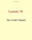 Lecture Money, Banking & Finance - Lecture 10: The credit channel