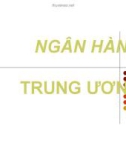 Bài giảng Ngân hàng trung ương - ThS. Nguyễn Anh Tuấn