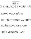 Bài giảng tổng quan luật ngân hàng