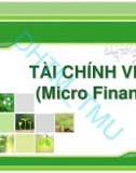 Bài giảng Tài chính vi mô: Chương 2 - ĐH Thương Mại