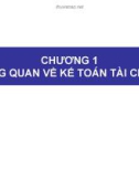 Tổng quan về kế toán tài chính