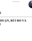 Bài giảng Bài 4: Lợi nhuận, rủi ro và Capm