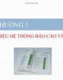 Bài giảng Phân tích báo cáo tài chính - Chương 1: Giới thiệu hệ thống báo cáo tài chính