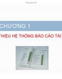 Bài giảng Phân tích báo cáo tài chính: Chương 1 - Nguyễn Hoàng Phi Nam