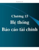 Bài giảng Chương 15: Hệ thống báo cáo tài chính