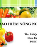 BẢO HIỂM NÔNG NGHIỆP