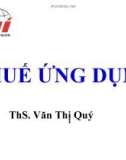 Bài giảng Thuế ứng dụng: Chương 1 - ThS. Văn Thị Quý