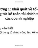 Bài giảng Chương 1: Khái quát về tổ chức công tác kế toán tài chính trong các doanh nghiệp