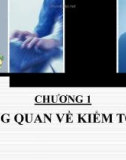 Bài giảng Chương 1: Tổng quan về kiểm toán