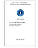 Giáo trình Thực tập tốt nghiệp (Nghề: Kế toán - Cao đẳng) - Trường Cao đẳng Cộng đồng Đồng Tháp