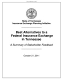 Best Alternatives to a Federal Insurance Exchange in Tennessee: A Summary of Stakeholder Feedback