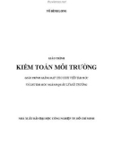 Giáo trình Kiểm toán môi trường: Phần 1 - Võ Đình Long