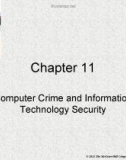 Lecture Accounting information systems: Basic concepts and current issues (3rd edition): Chapter 11 - Robert L. Hurt