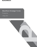 BlackRock Strategic Funds