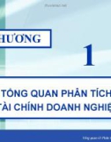 Bài giảng Phân tích tài chính doanh nghiệp - ThS. Đỗ Hồng Nhung