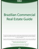 Brazilian Commercial Real Estate Guide