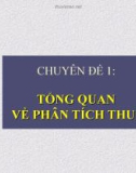 Chuyên đề: TỔNG QUAN VỀ PHÂN TÍCH THUẾ