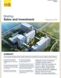 Briefing Sales and investment