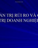 Bài giảng quản trị rủi ro tài chính - Bài 12.1