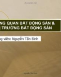 Tổng quan bất động sản và thị trường bất động sản