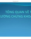 Bài giảng Thị trường tài chính - Chương 3: Tổng quan về thị trường chứng khoán