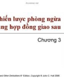 Bài giảng Tài chính phái sinh: Chương 3 - Các chiến lược phòng ngừa sử dụng hợp đồng giao sau