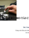 Bài giảng Quản trị rủi ro tài chính - ThS.Trịnh Thị Phan Lan