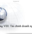 Bài giảng Lý thuyết tài chính tiền tệ: Chương 8