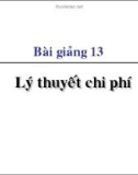 Bài giảng 13: Lý thuyết chi phí - Đặng Văn Thanh