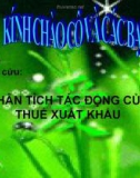 PHÂN TÍCH TÁC ĐỘNG CỦA THUẾ XUẤT KHẨU