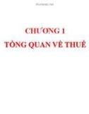 Bài giảng môn học Thuế: Chương 1 - Lê thị Bích Thảo