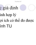 quá trình hình thành quy trình lý thuyết người tiêu dùng trong cung cầu p3